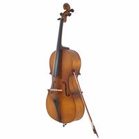 4/4 Acoustic Cello Set with Case Bow Rosin in Wood Color (Model D0100HP4CVW)