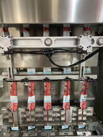 Machine d'emballage multi-voies super populaire pour ketchup, machine d'emballage de shampooing en petits paquets à cinq voies, 10g 50g
