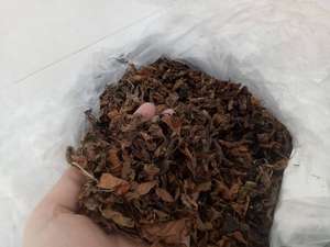 Hojas Secas Naturales de Mesona Chinensis para el Mercado de Superalimentos, Hierba de Gelatina Deshidratada Premium de Vietnam - Product Image 2