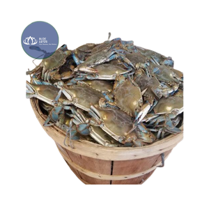 AVAILABLE Vintage Round <b>Wooden</b> Crab Bushel <b>Basket</b> Natural Fruit Storage <b>Basket</b> Wholesale - Product Image 1