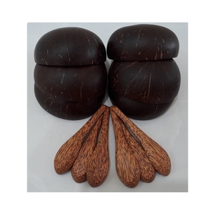 Vietnam Wholesale Handmade Natural Coconut Shell Bowl <b>Dinnerware</b> Set With Wooden Spoon Perfect for Desserts Fruit Salad Home - Product Image 4