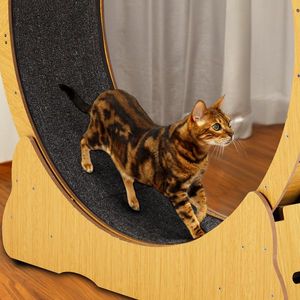 Large 39.4 Inch Cat <b>Wheel</b> Exerciser Silent Indoor <b>Exercise</b> <b>Wheel</b> for Cats Safety Lock Treadmill for Running - Product Image 6