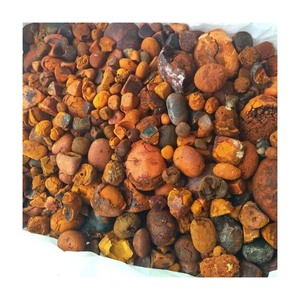 Cálculos biliares de buey de primera calidad al por mayor, cálculos biliares de ganado a granel para medicina tradicional, extractos de hierbas, envío a todo el mundo. - Product Image 2