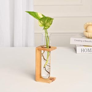 Vase moderne personnalisé en verre cristal avec support en bois, diamètre 4-6 pouces, pour exposition de racines et de fleurs, idéal pour la décoration de la maison ou du bureau - Product Image 3