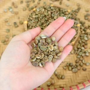 High Quality Vietnam Robusta Green Coffee <b>Beans</b> Screen Size 18 Raw Bulk Export Quality Coffee <b>Beans</b> Supplier Worldwide - Product Image 1