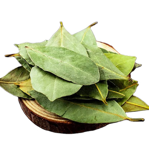 Meilleures feuilles de Laurier de Qualité Supérieure en Gros, Prêtes à l'Expédition, Qualité Alimentaire, Approvisionnement Export - Product Image 1