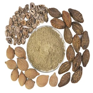 Poudre de Triphala 100% naturelle séchée par pulvérisation, pure, de qualité alimentaire, à base de plantes, favorise le nettoyage naturel du corps et la santé - Product Image 6