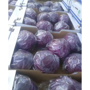 Egyptian <b>Fresh</b> Red Purple Cabbage New Crop Class A Natural <b>Vegetable</b> Export Supply - Product Image 6