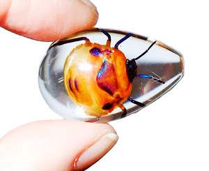 Cabujón de Plástico con Espécimen Real de Insecto Floral, Corte en Forma de Pera, 33x22 mm, Base Plana Transparente para Manualidades y Joyería - Product Image 6