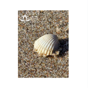 MEJOR VENDIDO Campanilla de Viento Ecológica de Conchas Marinas Naturales, Decoración Colgante Hecha a Mano, Estilo Náutico Costero, Feng Shui, Venta al por Mayor, AZUL - Product Image 1