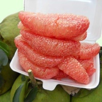 Premium verse groene pomelo met roze vruchtvlees |   100% natuurlijk zoet, hoogwaardig pomelo fruit |   Klasse 1,6 kg VS EU AU Midden-Oosten