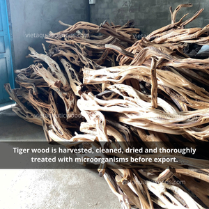 Hot <b>Sale</b> Aquarium <b>Driftwood</b> Natural <b>Driftwood</b> <b>for</b> Betta Fish tank Aquarium Decoration - Product Image 3