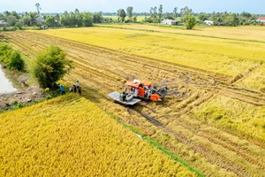 รถเกี่ยวข้าว DC 108X รุ่นมาตรฐานในประเทศไทย ยอดขายดีที่สุด ประสิทธิภาพสูง ทนทาน เครื่องจักรกลการเกษตร - Product Image 3