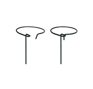 Support métallique pour tiges de fleurs Amaryllis de jardin - Product Image 6