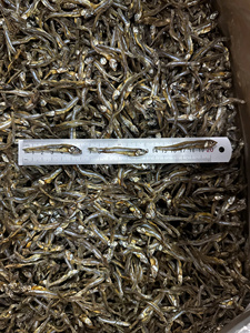 Anchoas Secas al por Mayor de Primera Calidad para Exportación - Product Image 6