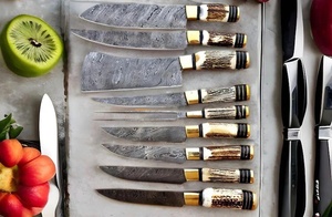 Ensemble de 9 couteaux de cuisine professionnels en acier Damas fait main, ambidextres, manches en agneau, 67 couches, qualité supérieure, vente en gros TARJ - Product Image 5
