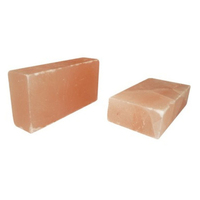 Briques de sel rose de l'Himalaya 8x4x2 imperméables faites à la main pour salles de thérapie au sel et centres de bien-être Prix usine