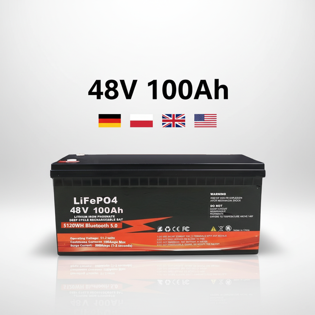 Fuyue 48V 100Ah LiFePO4 Battery 12V 24V 48V Lithium Ion Battery Pack Bluetooth BMS for Home Solar Energy Storage