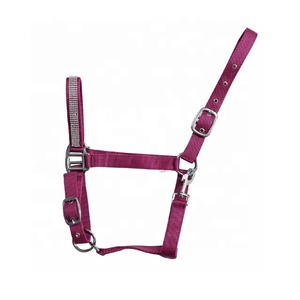 Venta al por mayor de alta calidad caballo Halter cómodo nailon inglés sillín estilo con logotipo personalizado cuerda Halter - Product Image 6