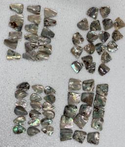 เปลือกหอยเป๋าฮื้อขัดเงาธรรมชาติ |   เปลือกหอยเปาอ่าสีรุ้งสำหรับงานสมัดจิ้งจอก งานเครื่องประดับ และของตกแต่งบ้าน - Product Image 5