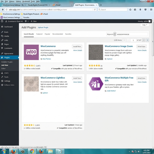 Master Custom WooCommerce Store: Advanced E-Commerce Solutions Showcasing Seamless Operations & Maximum Storefront Impact - Product Image 4