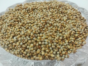 Millet pour l'alimentation du bétail, Millet de qualité alimentaire, Grains de millet, Ingrédient pour l'alimentation du bétail, Fournisseur de millet en vrac - Product Image 1