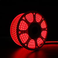 Tira de LED para Exteriores Nanoco, 72 Chips 2835 SMD, IP65, Anti-UV, PVC, 30000 Horas de Duración, Proveedor Número 1 en Vietnam, Venta al Por Mayor