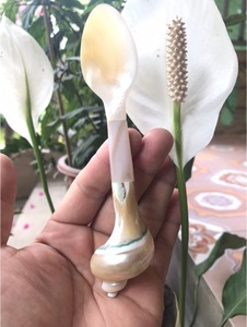 Decorative Mother of Pearl <b>Spoon</b> Handmade Tableware <b>Spoon</b> for Dessert Coffee and Caviar <b>Serving</b> - Product Image 2