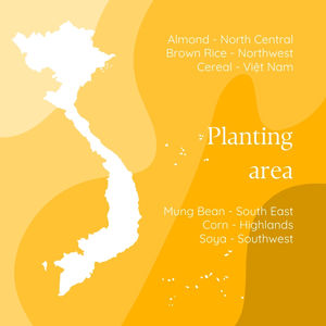 Puré de Almendras Fresco Exprimido de 320 ml, Sin Lácteos, Interfresh, Fabricante de Bebidas de Vietnam, Servicio Global OEM ODM, Buen Precio, Vietnam - Product Image 6