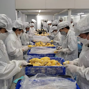 Meilleures ventes de durian congelé, technologie IQF, longue durée de conservation - Product Image 1