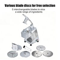 Welldone Groente Fruit Maïs Snijmachine Roestvrij Staal 5 Messen Hoge Capaciteit Motor Huishoudelijke Shredder Slicer Dicer Bakkerij