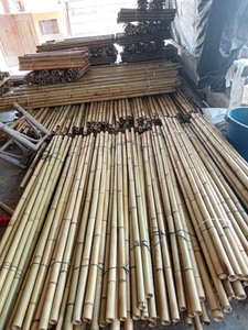 cheap price-Strong Bamboo <b>Poles</b> <b>for</b> Farming <b>Garden</b> Big Round Bamboo <b>Poles</b> Wholesale Best Price Bamboo <b>Pole</b> From Vietnam - Product Image 2