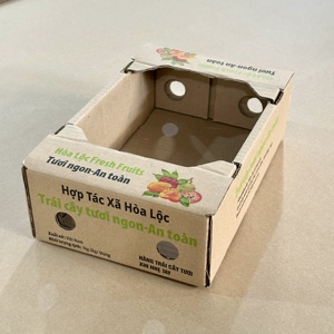 Caja de Cartón Corrugado Ecológica y Resistente para Empaque de Mango Fresco, con Orificios de Ventilación, Reciclable - Product Image 3