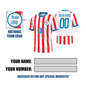 Conjunto de Uniforme de Fútbol Personalizado con Pantalones Cortos para Niños y Adultos, Nombre del Equipo, Número, Proveedor al por Mayor - Product Image 2