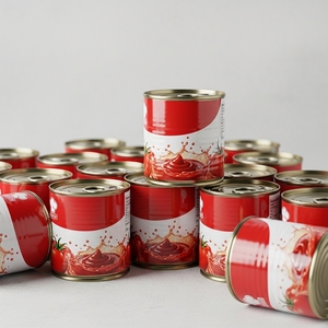 Ingrediente concentrado de tomate con pasta de tomate enlatada en latas resistentes para mezclar salsas y suministro de alimentos al por mayor - Product Image 2