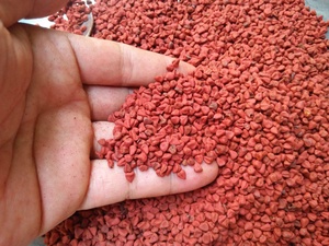 Colorant alimentaire naturel de graines d'annatto du Vietnam/assaisonnement d'épices chaudes de graines d'annatto Sac OEM d'emballage en vrac - Product Image 3