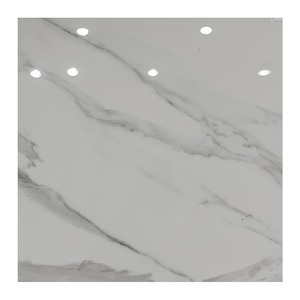 Dalles de marbre dolomite poli beige Bottochino 60x60cm, design moderne, durables, résistantes aux taches, pour sols et murs d'hôtels, Inde - Product Image 1