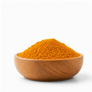Poudre de curcuma en vrac de qualité supérieure, prix de gros, meilleure vente, fabriquée au Vietnam, conforme aux normes internationales - Product Image 3