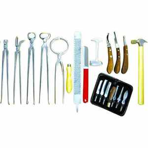 Kit de soins des sabots orthopédiques Astrin Surgical 13 pièces Pro pour fermeurs, outils de toilettage en acier inoxydable pour chevaux et chiens, ensemble de râpes, pinces et couteaux - Product Image 3