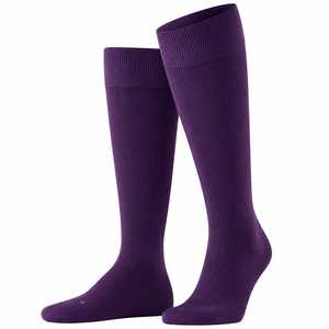 Chaussettes légères et confortables, ajustement flexible, matériau tricoté doux, utilisation quotidienne, accessoire de chaussures, collection de vêtements pratiques - Product Image 1