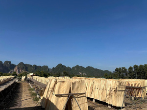 100% Natural Vietnam <b>Eucalyptus</b> Rotary Cut Veneer Eco-Friendly & Durable 1270x640mm for Plywood Manufacturing - Product Image 5