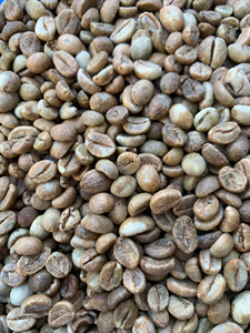 Grains de café vert Robusta de haute qualité, certifiés, de première qualité, équitablement commercialisés, propres, secs et transformés, Gia Lai Vietnam S18, sac de 60 kg - Product Image 6