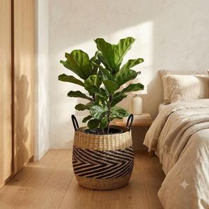 Panier de rangement rustique en jonc de mer tressé à la main – Ensemble de paniers modernes coniques tissés, multifonctionnels pour salon, jardin, cuisine - Product Image 5