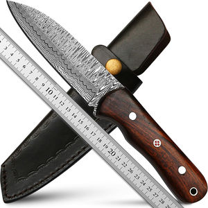 Cuchillo Bowie Personalizable de Acero Inoxidable con Alto Contenido de Carbono para Caza y Camping, Mango de Madera OEM, Borde Dentado para Bushcraft, para Hombres - Product Image 2