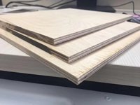 Coeur en contreplaqué d'eucalyptus 4x8 pieds pour la construction de sous-couche de revêtement de sol stratifié, bois multicouche