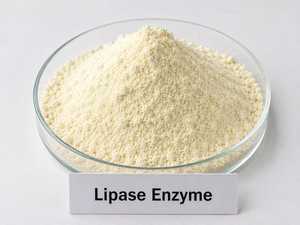 Top Selling Lipase Enzyme Powder with High Enzymatic Activity for Oil Degradation Food Processing and Biotechnology Use for Sale - Product Image 3