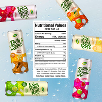 Eau gazeuse aromatisée à la crème soda, extrait de fruit du moine, certifiée BRCGS, faible teneur en sucre, faible en calories, prête à boire, pour boisson personnalisée, échantillon gratuit
