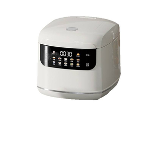 Olla Arrocera Inteligente Mini de 2L con Pantalla Táctil, Baja en Azúcar, Portátil, Apta para Exteriores y Hogar - Product Image 1