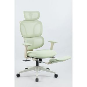 Sedia da Ufficio Ergonomica con Schienale Alto, Supporto Lombare Dinamico, Poggiatesta 2D, Braccioli 2D e Poggiapiedi - Product Image 3