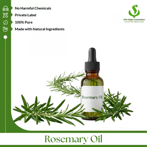 ผู้จัดจำหน่ายน้ำมันโรสแมรี่ธรรมชาติ  จำหน่ายน้ำมันหอมระเหยคุณภาพพรีเมียมสำหรับการดูแลเส้นผม ผลิตภัณฑ์ดูแลผิว เครื่องสำอาง การดูแลส่วนบุคคล น้ำหอม และอโรมา - Product Image 1